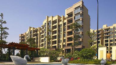 ����鿴��ϸ��Ϣ���⣺�������� �Ķ�������4596